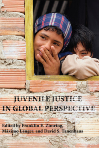 Livre Juvenile Justice in Global Perspective 