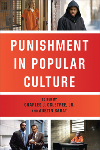 Kniha Punishment in Popular Culture Austin Sarat