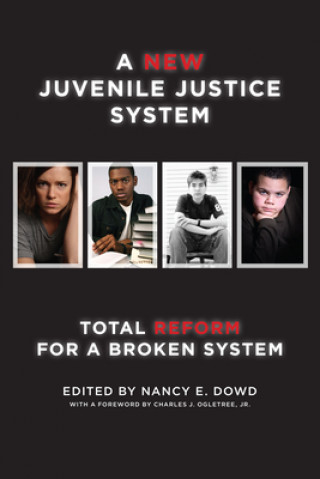 Könyv New Juvenile Justice System Nancy E. Dowd