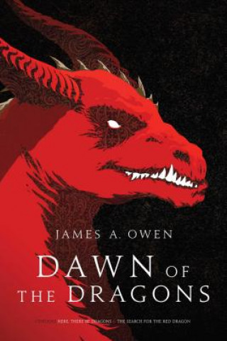 Könyv Dawn of the Dragons James A. Owen