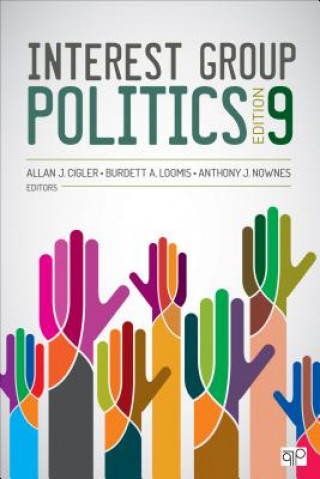 Book Interest Group Politics Allan J Cigler