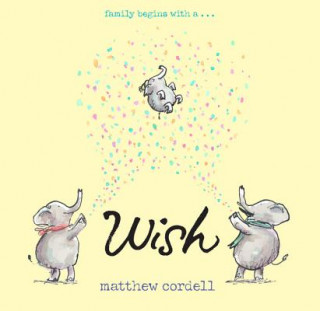Kniha Wish Matthew Cordell