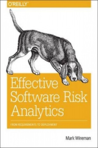 Kniha Effective Software Risk Analytics Mark Wireman