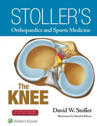 Könyv Stoller's Orthopaedics and Sports Medicine: The Knee David W Stoller