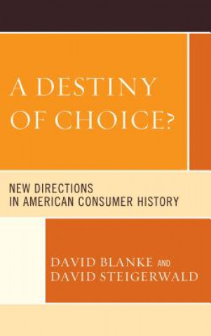 Könyv Destiny of Choice? David Blanke
