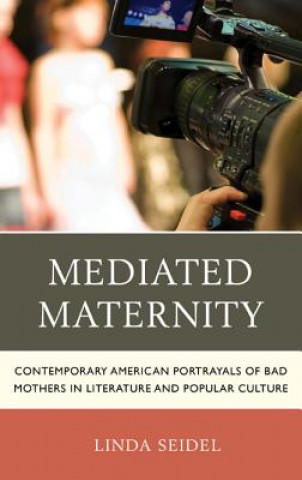 Kniha Mediated Maternity Linda Seidel