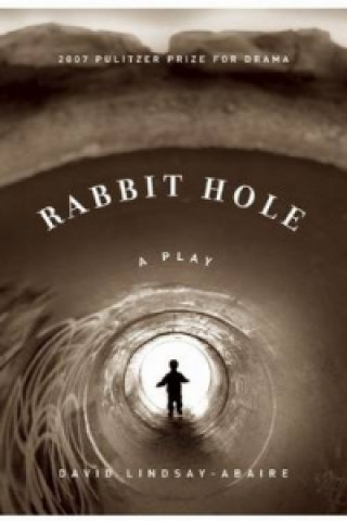Kniha Rabbit Hole David Lindsay-Abaire