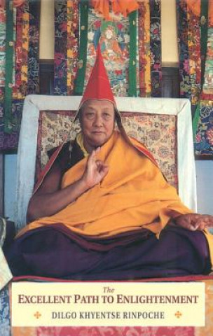 Kniha Excellent Path to Enlightenment Dilgo Khyentse