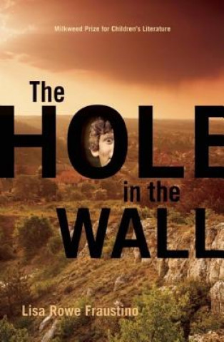 Βιβλίο Hole in the Wall Lisa Rowe Fraustino