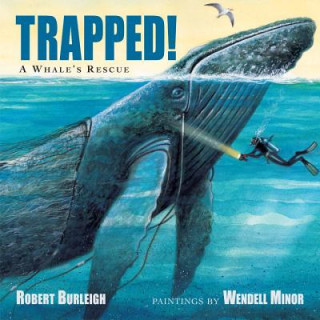 Könyv Trapped! A Whale's Rescue Robert Burleigh