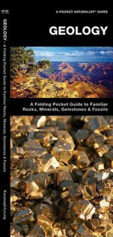 Könyv Geology James Kavanagh
