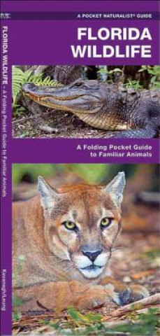 Könyv Florida Wildlife James Kavanagh