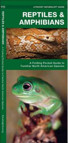 Kniha Reptiles & Amphibians James Kavanagh