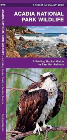 Book Acadia National Park Wildlife James Kavanagh