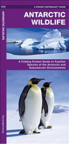 Könyv Antarctic Wildlife James Kavanagh