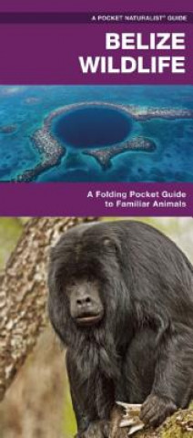 Book Belize Wildlife James Kavanagh