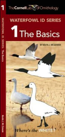 Kniha Cornell Lab of Ornithology Waterfowl ID 1 The Basics Kevin J. McGowan
