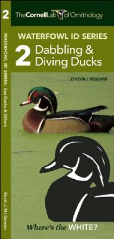 Kniha Cornell Lab of Ornithology Waterfowl ID 2 Dabbling & Diving Ducks Kevin J. McGowan