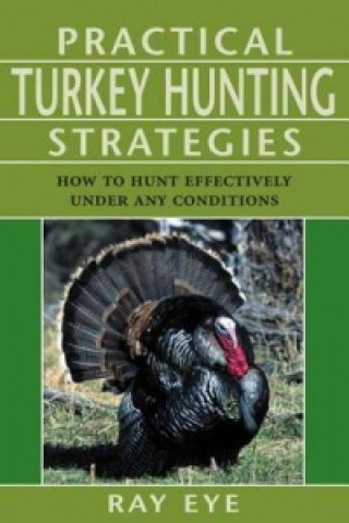 Könyv Practical Turkey Hunting Strategies Ray Eye