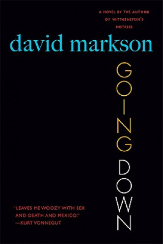 Kniha Going Down David Markson