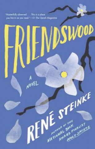 Könyv Friendswood Rene Steinke