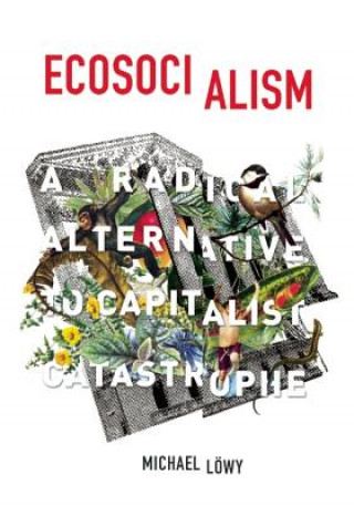 Kniha Ecosocialism Michael Lowy
