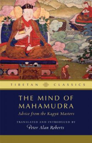 Kniha Mind of Mahamudra Peter Alan Roberts