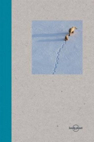 Libro Lonely Planet Small Notebook - Polar Bear Lonely Planet