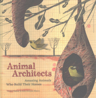Könyv Animal Architects:Amazing Animals Who Build Their Homes Julio Antonio Blasco