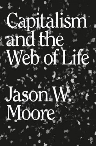 Kniha Capitalism in the Web of Life Jason W Moore