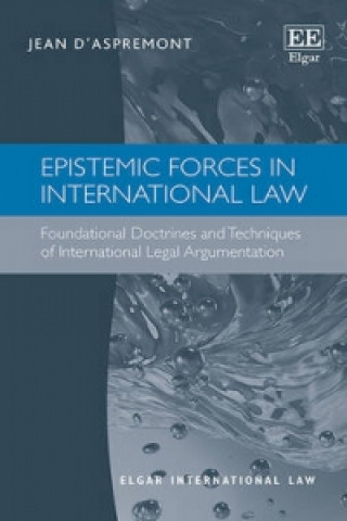 Könyv Epistemic Forces in International Law - Foundational Doctrines and Techniques of International Legal Argumentation Jean d' Aspremont