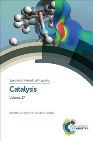 Könyv Catalysis James Spivey