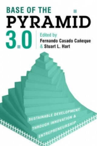 Книга Base of the Pyramid 3.0 