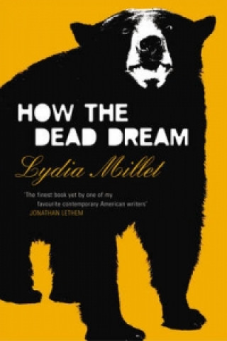 Buch How the Dead Dream Lydia Millet