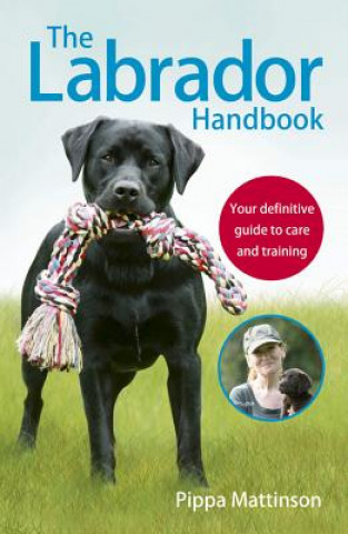 Kniha Labrador Handbook Pippa Mattinson