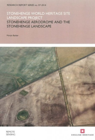 Kniha Stonehenge Aerodrome and the Stonehenge Landscape Martyn Barber