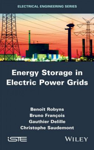 Книга Energy Storage in Electric Power Grids Benoit Robyns