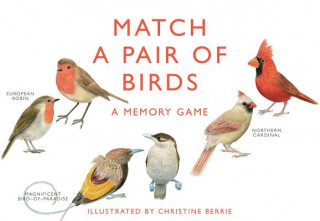 Tlačovina Match a Pair of Birds Christine Berrie