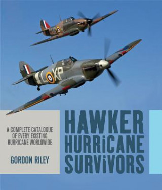 Buch Hawker Hurricane Survivors Gordon Riley