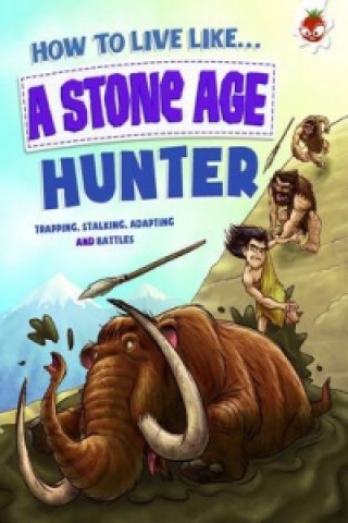 Könyv Stone Age Hunter Anita Ganeri