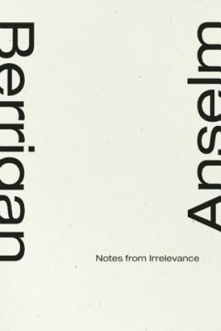 Book Notes From Irrelevance Anselm Berrigan