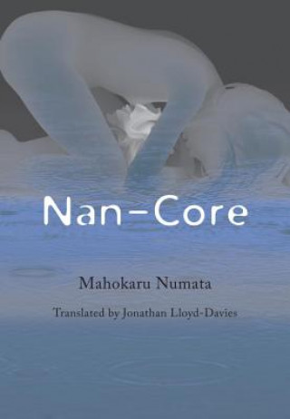 Kniha Nan-core Mahokaru Numata