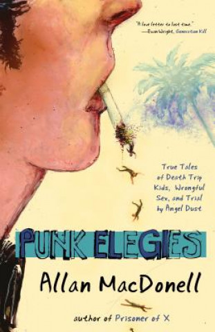 Βιβλίο Punk Elegies Allan MacDonell