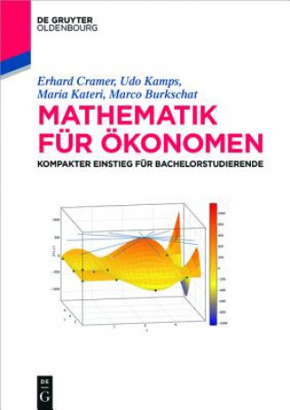 Kniha Mathematik fur OEkonomen Marco Burkschat