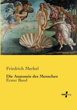 Carte Anatomie des Menschen Friedrich Merkel