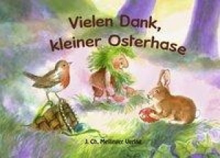 Libro Vielen Dank, kleiner Osterhase Johanna Schneider