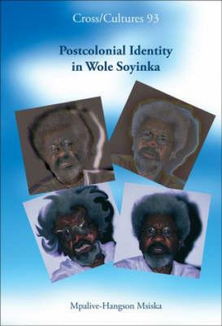 Kniha Postcolonial Identity in Wole Soyinka Mpalive-Hangson Msiska