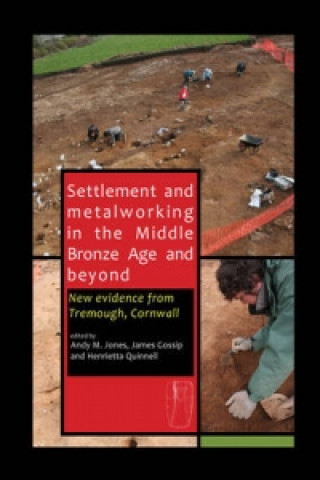 Carte Settlement and Metalworking in the Middle Bronze Age and Beyond Andy M. Jones