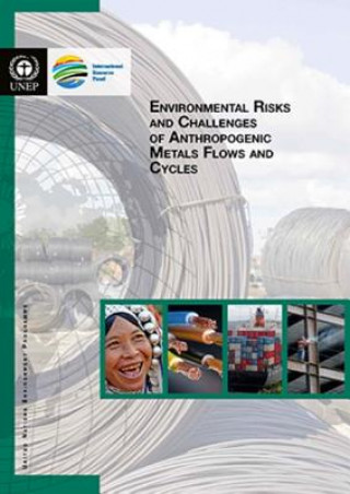 Book Environmental risks and challenges of anthropogenic metals flows and cycles United Nations Environment Programme