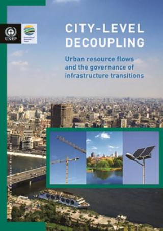 Carte City-level decoupling United Nations Environment Programme